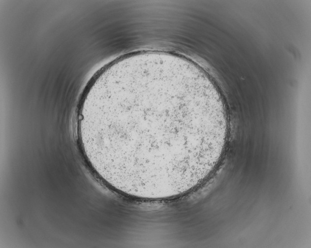 X0000112780838200910011256