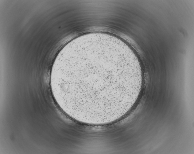 X0000112780841200910011256