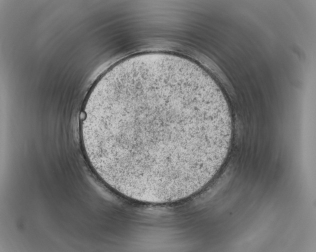 X0000112780842200910011256