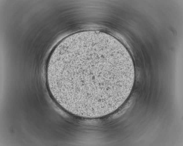 X0000112780843200910011256