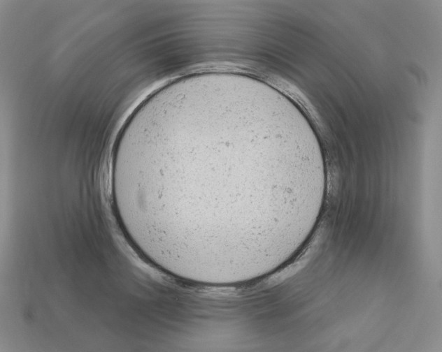 X0000112780844200910011256