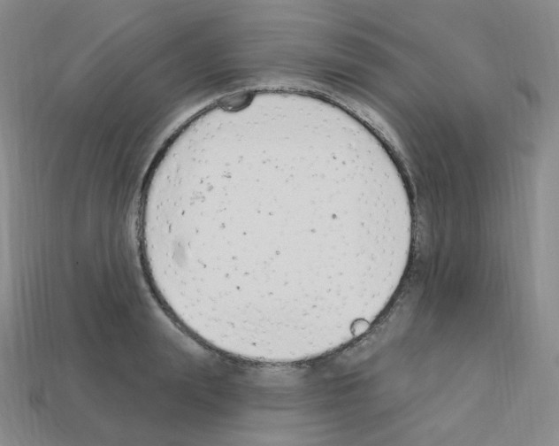 X0000112780847200910011256