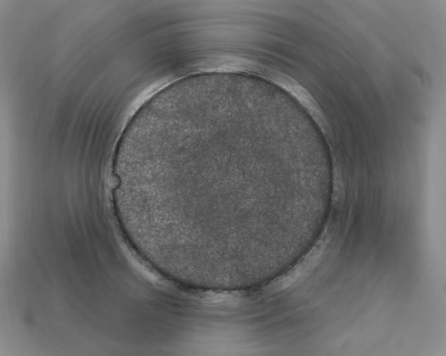 X0000112780850200910011256