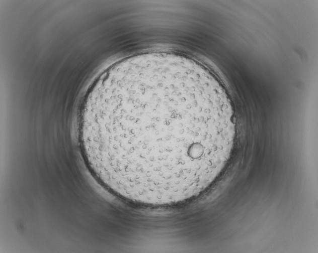 X0000112780851200910011256