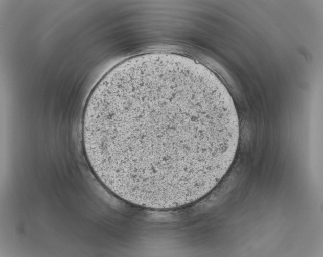 X0000112780852200910011256