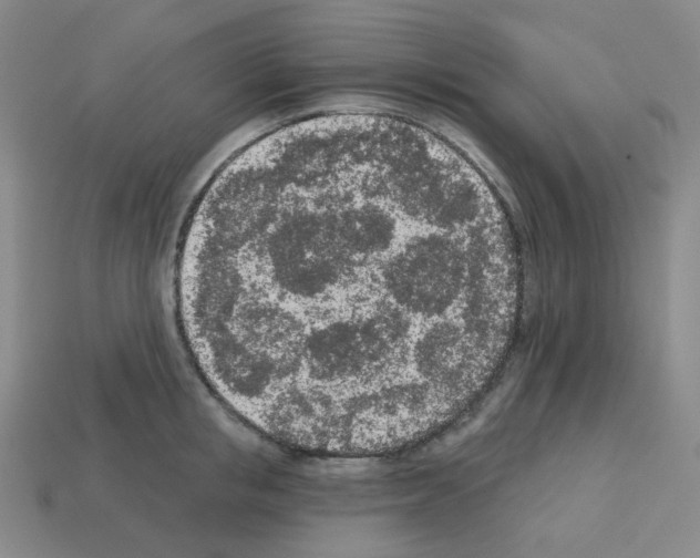 X0000112780853200910011256