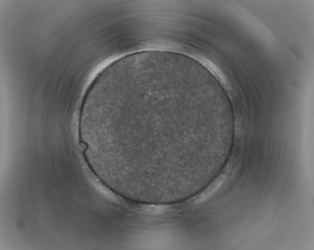 X0000112780854200910011256