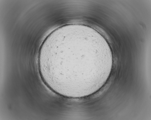 X0000112780855200910011256