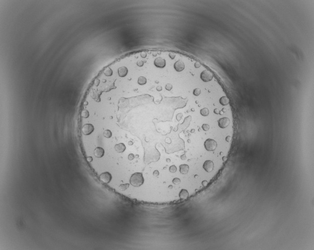 X0000112780856200910011256