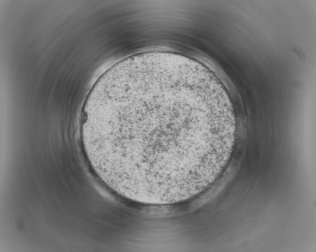 X0000112780858200910011256