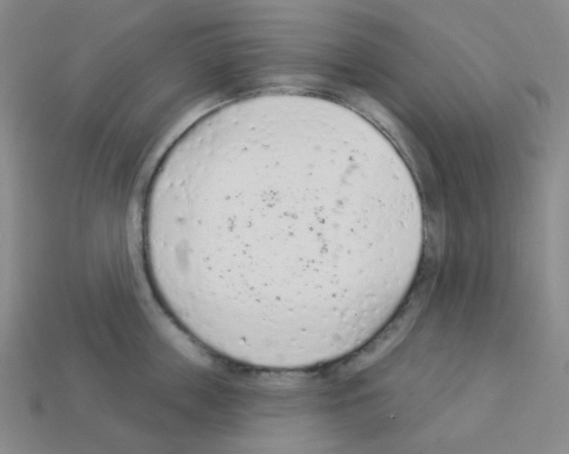 X0000112780859200910011256