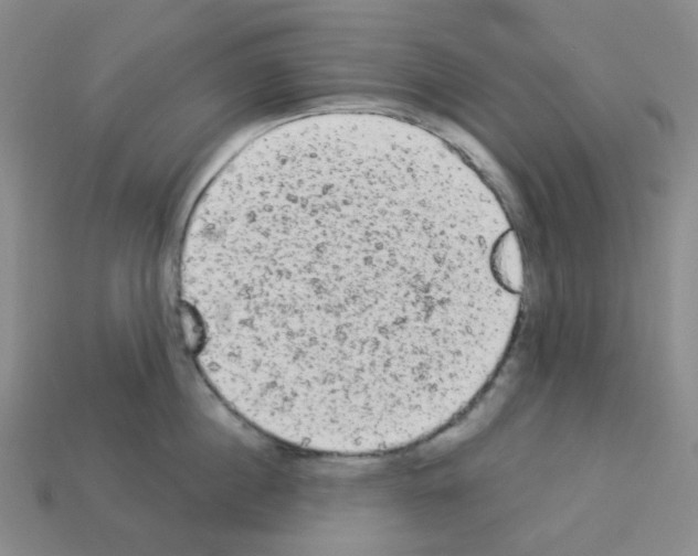 X0000112780860200910011256