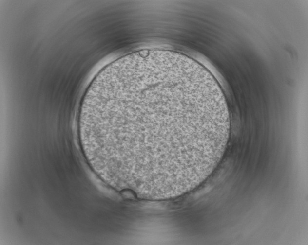 X0000112780861200910011256