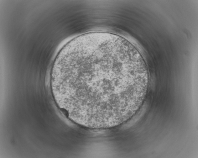 X0000112780862200910011256