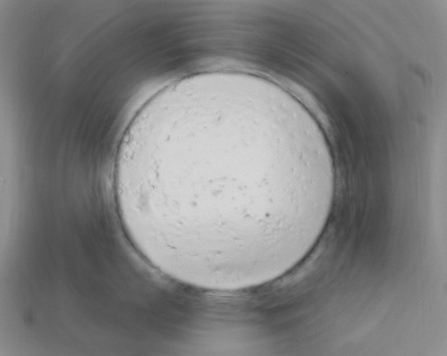 X0000112780863200910011256