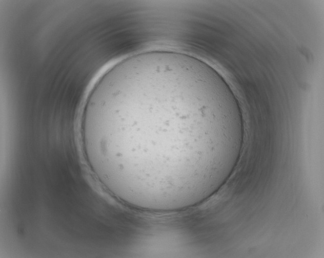 X0000112780864200910011256