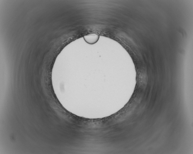 X0000112780865200910011255