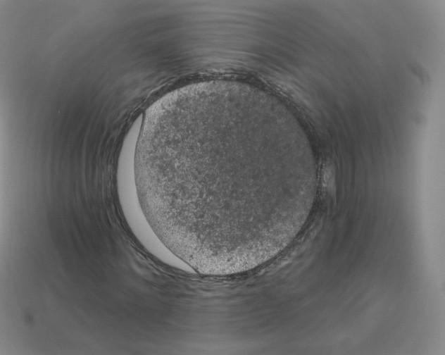 X0000112780868200910011255