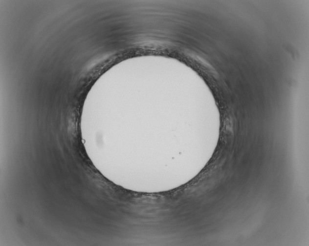 X0000112780869200910011255