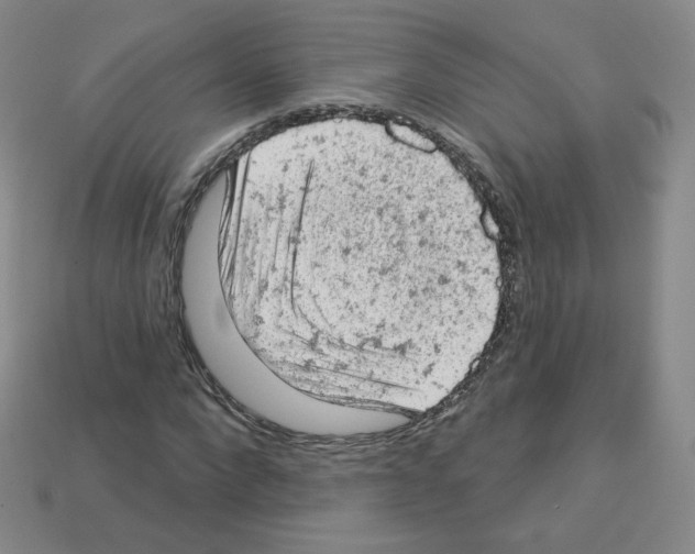 X0000112780872200910011255