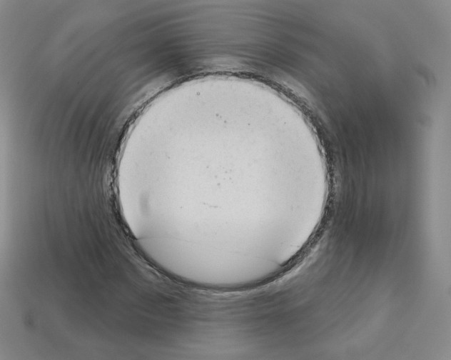 X0000112780873200910011255