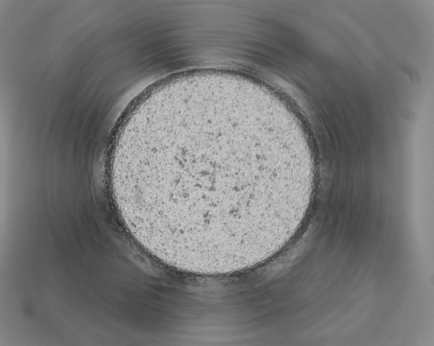 X0000112780875200910011255