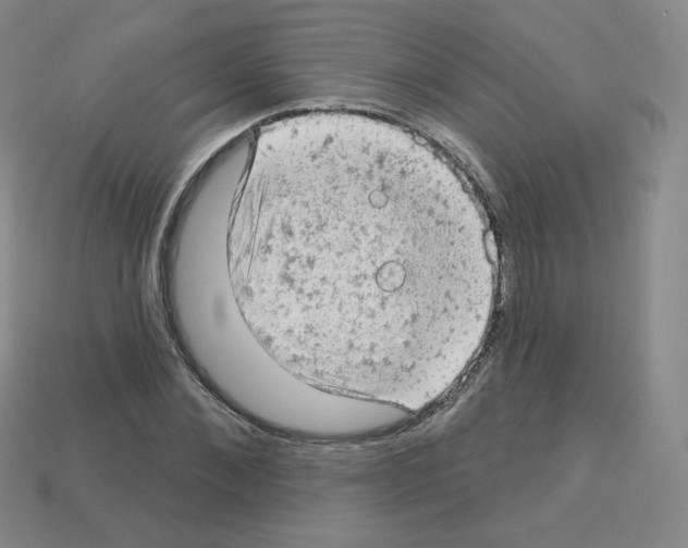 X0000112780876200910011255