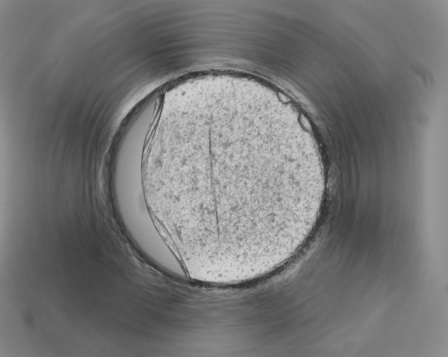 X0000112780877200910011255