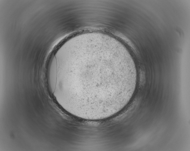 X0000112780878200910011255