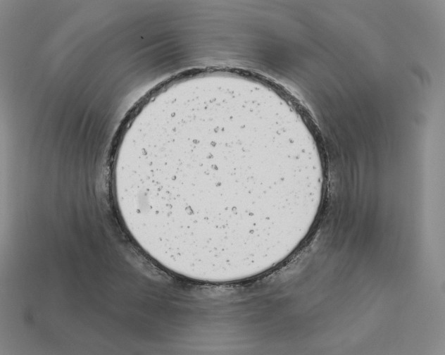 X0000112780879200910011255