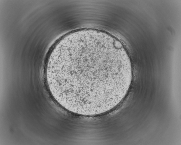 X0000112780880200910011255