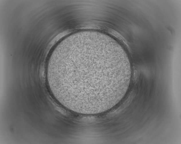 X0000112780882200910011255