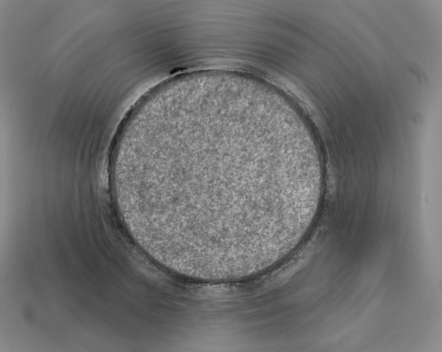 X0000112780883200910011255