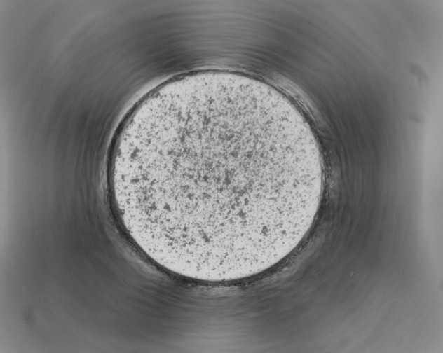 X0000112780884200910011255