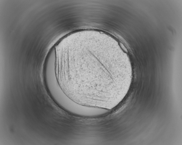 X0000112780885200910011255