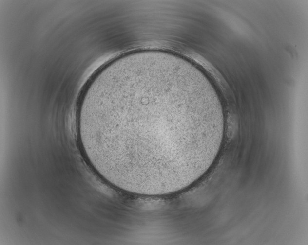 X0000112780886200910011255