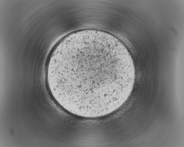 X0000112780888200910011255