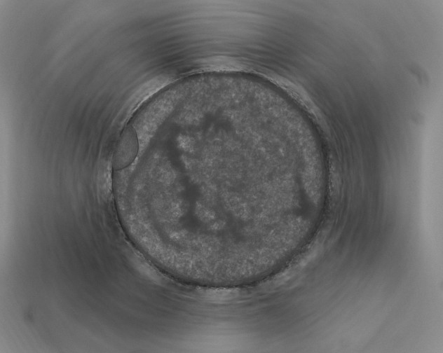 X0000112780889200910011255