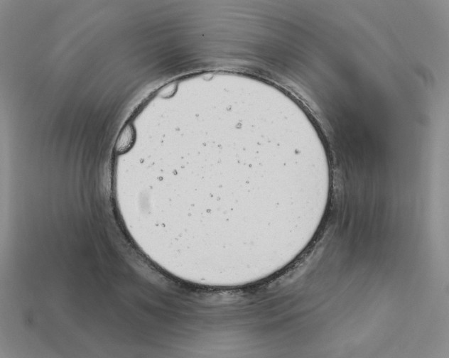 X0000112780891200910011255