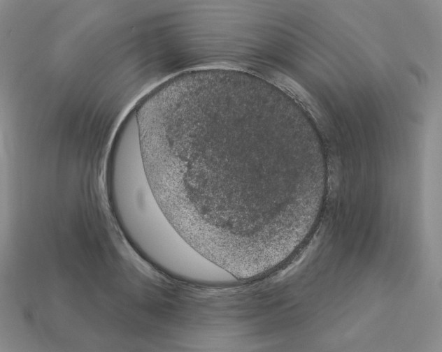 X0000112780892200910011255