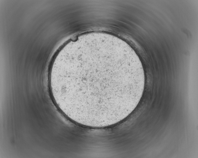 X0000112780894200910011255