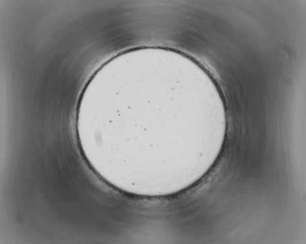 X0000112780895200910011255