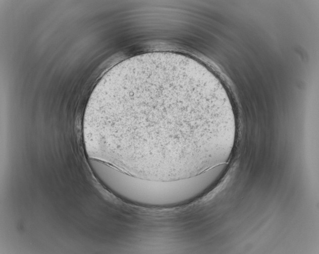 X0000112780897200910011255