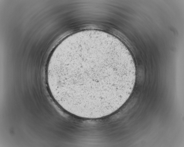 X0000112780898200910011255