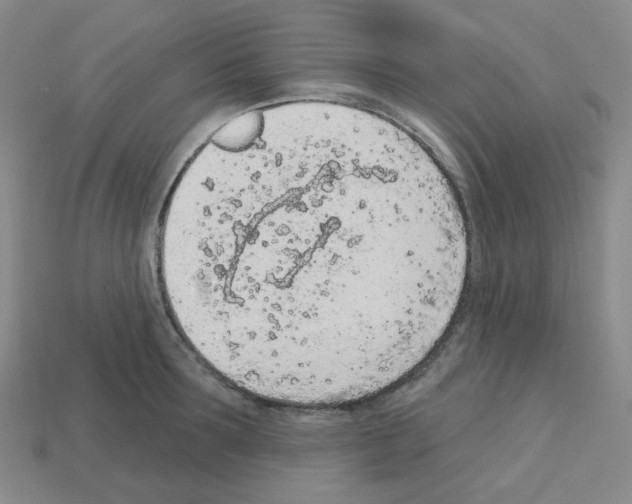 X0000112780899200910011255