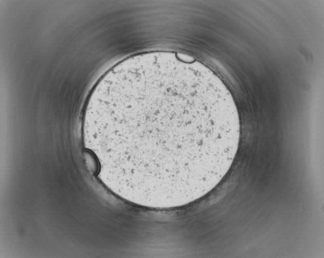 X0000112780900200910011255