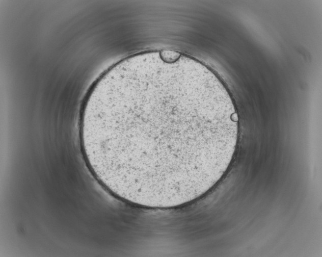 X0000112780902200910011255