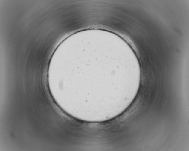 X0000112780903200910011255