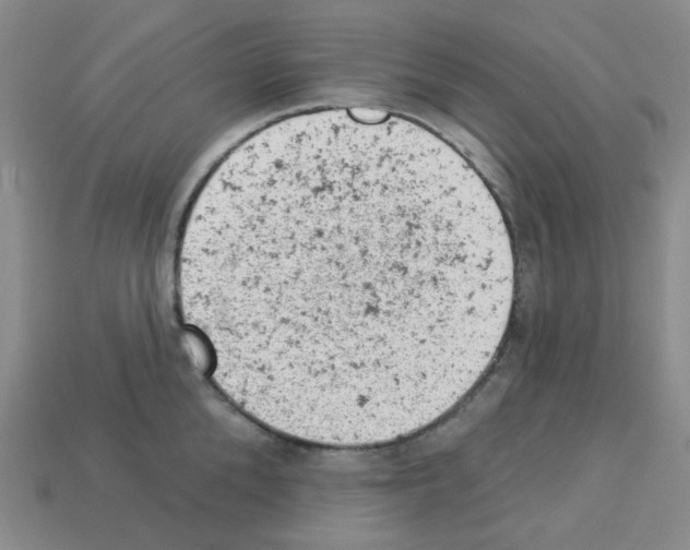 X0000112780904200910011255