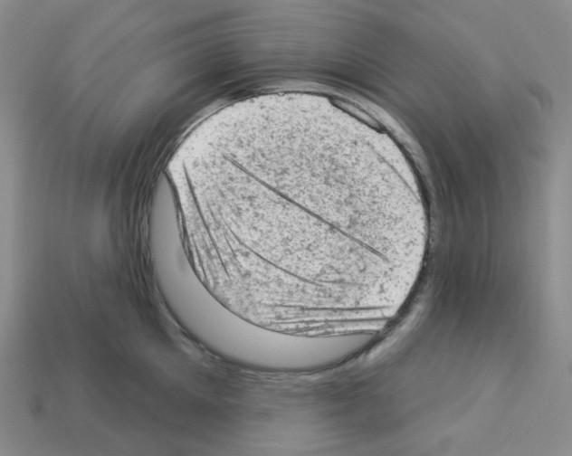 X0000112780905200910011255